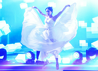 歌舞戲劇,演員,演出人員,舞蹈團(tuán),演出團(tuán),舞蹈隊(duì)