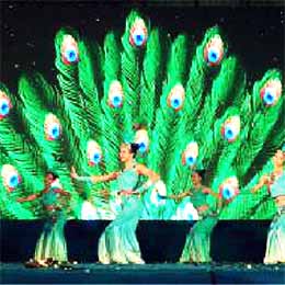 ���轛�o��˾