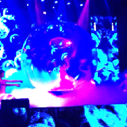 ������ݳ����o��˾