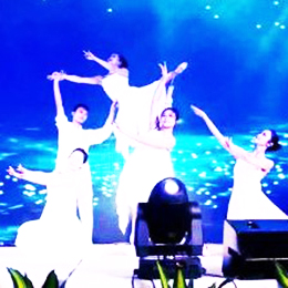 ������ݳ����o��˾