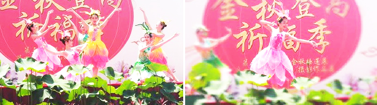 �V�ݸ������ˇ���o��˾