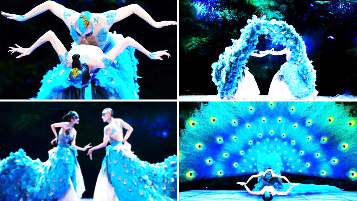 �V�ݸ��轛�o��˾