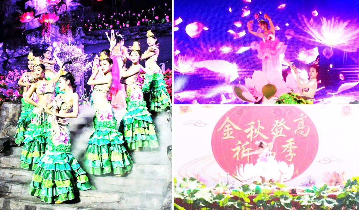 �V���赸��(j��ng)�o��˾