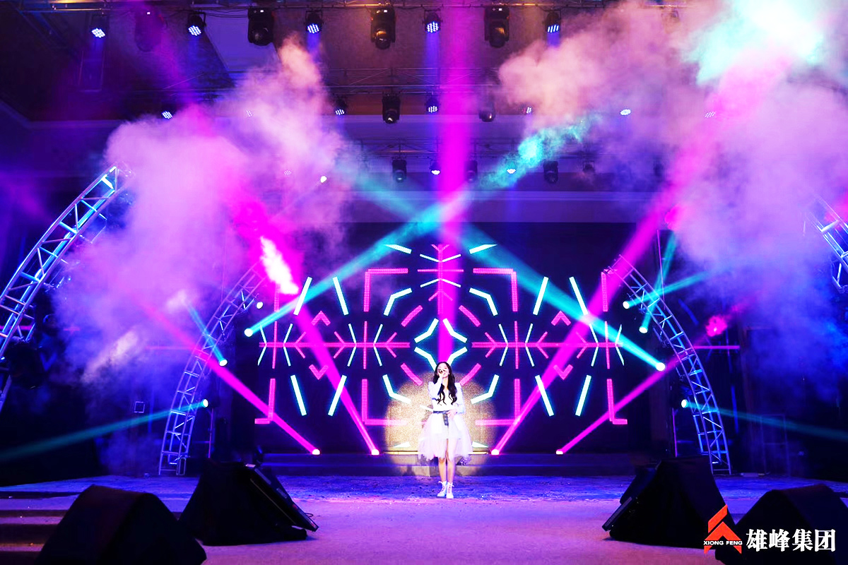 迎新春聯歡晚會案例賞析1